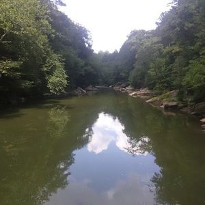 Meet your Posher, Ron